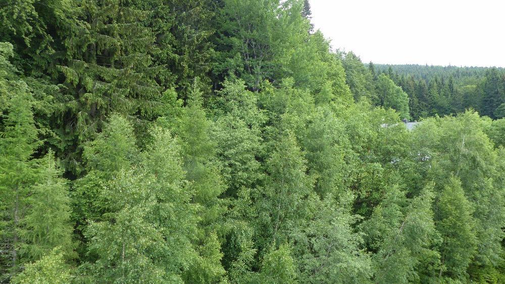 Apartmán Bedřichov, Špindlerův mlýn Exteriér fotografie
